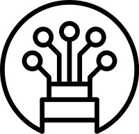 Fiber